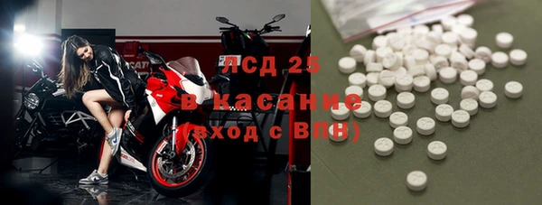 ГАЛЛЮЦИНОГЕННЫЕ ГРИБЫ Магас