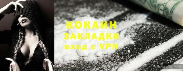 ГАЛЛЮЦИНОГЕННЫЕ ГРИБЫ Магас