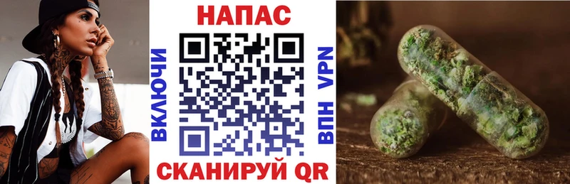 Конопля сатива мега ссылка Межгорье